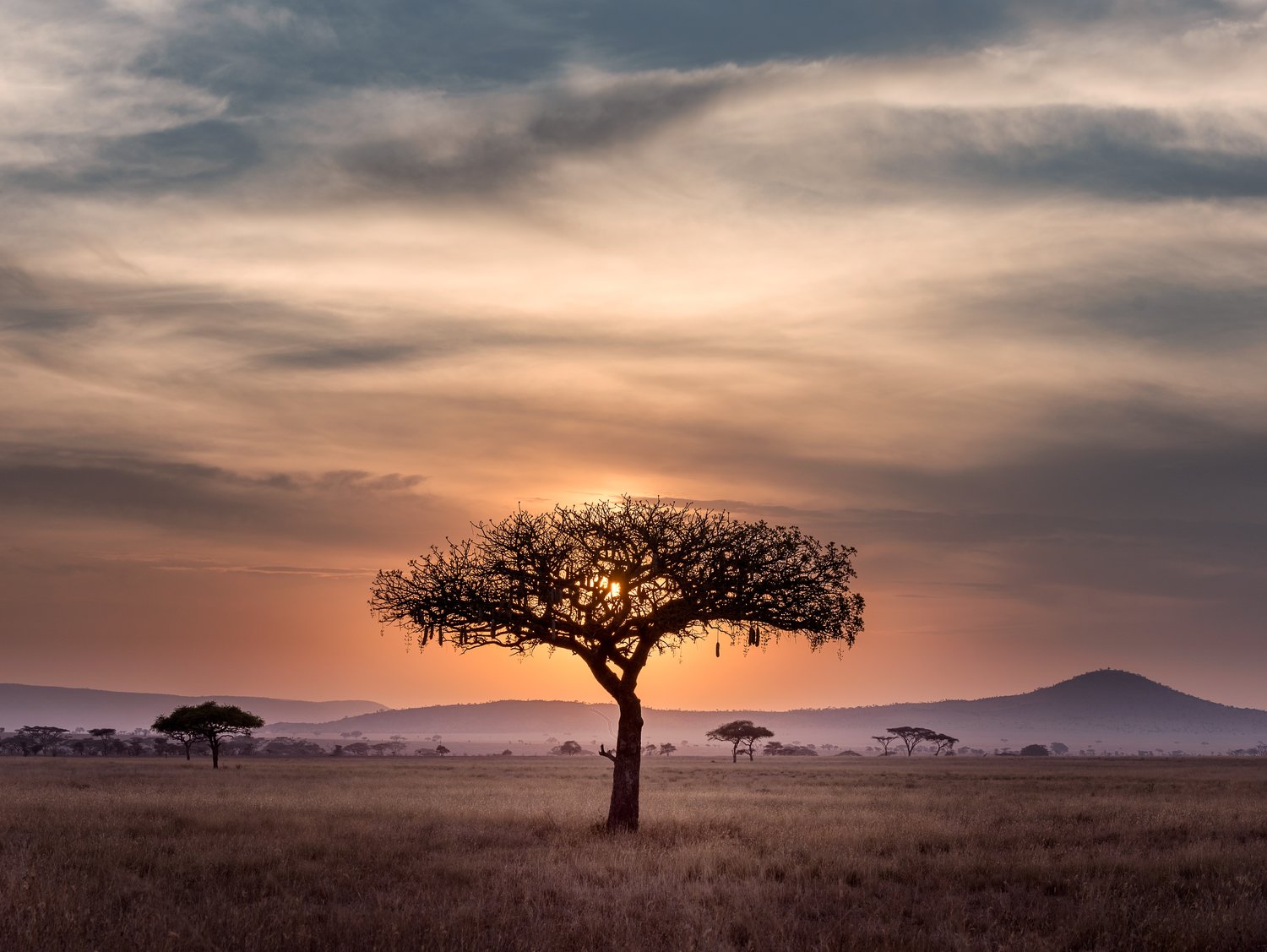 Bold Action on Biodiversity as a Driver for African Growth and Prosperity