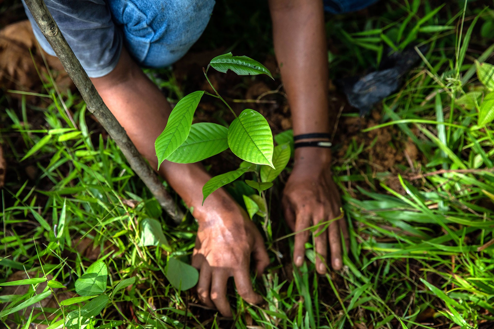 The planet’s oldest technology: natural solutions and the IPCC report