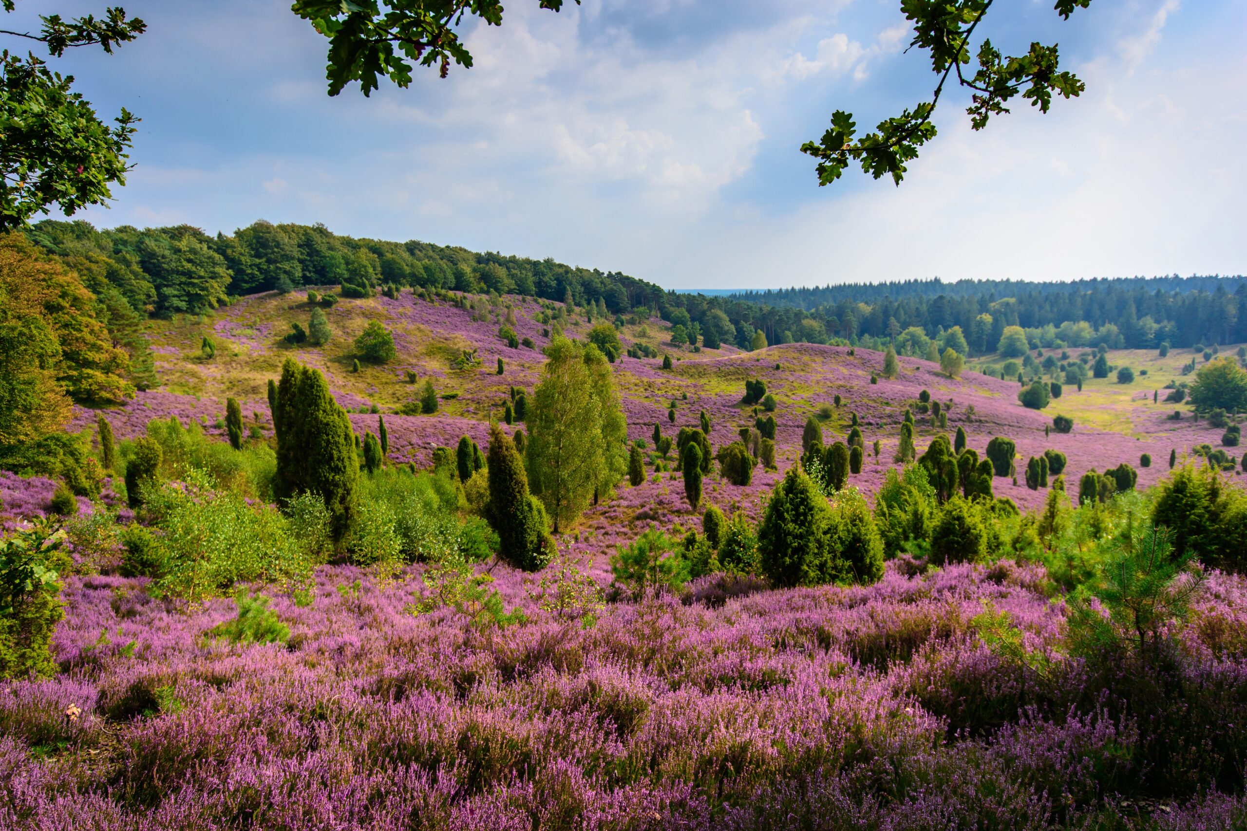 Germany’s approach to the Biodiversity Crisis